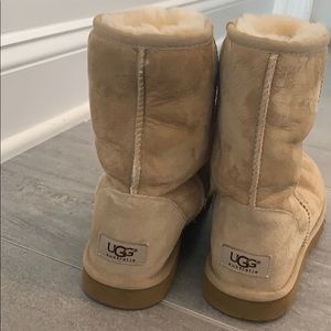 Tan Uggs